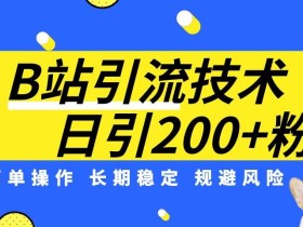 B站引流技术:每天引流200精准粉,简单操作,长期稳定,规避风险