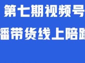 视频号直播带货线上陪跑营第七期:算法解析+起号逻辑+实操运营