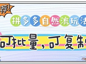 拼多多自然流玩法,可复制,可落地,可批量的无货源项目