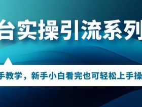 多平台引流实操系列课程,新手小白看完也可轻松上手进行引流操作