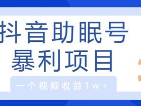 睡眠?月入20000+?冷门小项目,无门槛保姆级教程,有手就会