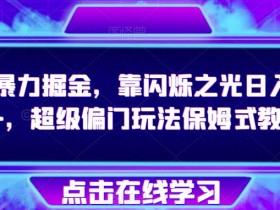 抖音暴力掘金,靠闪烁之光日入4000+,超级偏门玩法保姆式教学