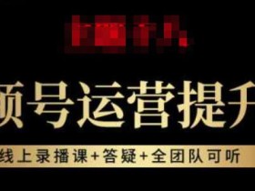 视频号运营提升班:视频号起号逻辑,视频号选品技巧及带货