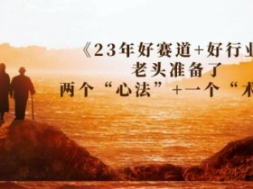 某收费文章《23年好赛道+好行业》老头准备了两个“心法”+一个“术法”