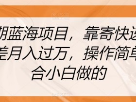 长期蓝海项目,靠寄快递信息差月入过万,操作简单适合小白做的【揭秘】