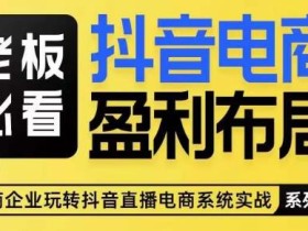 老板必看-抖音电商盈利布局,公开揭秘抖音电商全域布局打法