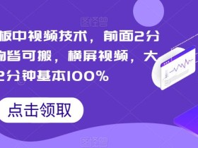 PR搬运模板中视频技术,前面2分钟以上万物皆可搬,横屏视频,大于2分钟基本100%