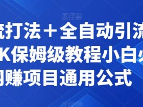 截流打法+全自动引流日入2K保姆级教程小白必做,附项目通用公式【揭秘】