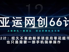 亚运网创66计第12计:经久不衰的新手入门项目也可月入几千