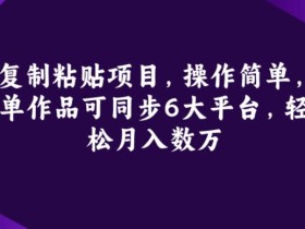 复制粘贴项目,操作简单,单作品可同步6大平台,轻松月入数万