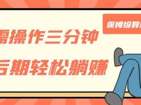 只需操作三分钟,获得被动美金收入,后期轻松躺赚,保姆级教程【揭秘】