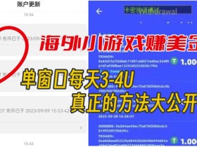 海外小游戏美金项目真正可以达到3-4U单窗口的方法,单台电脑收入300+【揭秘】