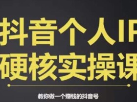 个人IP创富系统实战课,商业定位,流量打造,短视频变现,教你做个赚钱的抖音号