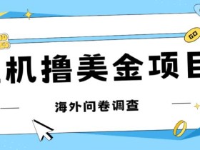 最新挂机撸美金礼品卡项目,可批量操作,单机器200+【入坑思路+详细教程】