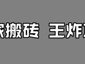 百家最新搬运玩法,单号月入5000+【揭秘】