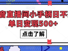 抖音直播间小手柄日不落单日变现500+【揭秘】
