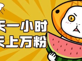 暴力涨粉项目:每天一小时,七天上万粉【揭秘】
