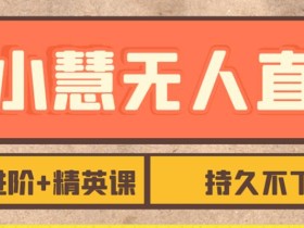 张小慧无人直播精英课,基础+进阶+精英课,持久不下播