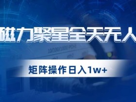 快手磁力聚星全天无人直播,矩阵操作日入1w+【揭秘】