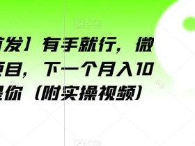 【全网首发】有手就行,微信爆粉项目,下一个月入10万的就是你(附实操视频)【揭秘】
