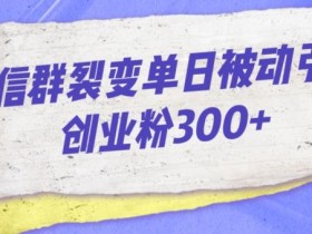 微信群裂变单日被动引流创业粉300【揭秘】