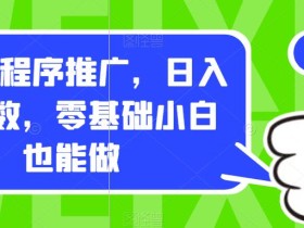 0撸小程序推广,日入四位数,零基础小白也能做【揭秘】