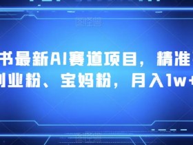 小红书最新AI赛道项目,精准引流创业粉、宝妈粉,月入1w+