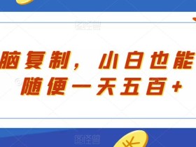 无脑复制,小白也能做,随便一天五百+