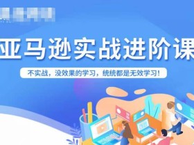 亚马逊FBA运营进阶课,不实战,没效果的学习,统统都是无效学习