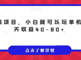 无脑项目,小白就可以玩单机一天收益40-80+【揭秘】