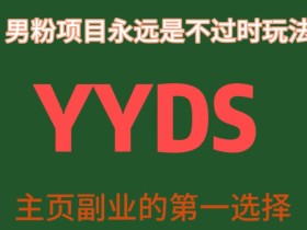 YYDS男粉项目永远是不过时玩法,主业副业的第一选择【揭秘】