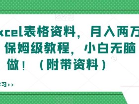 靠excel表格资料,月入两万+,保姆级教程,小白无脑做!(附带资料)【揭秘】