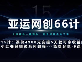 亚运网创66计第15计:小红书实战第9节综合标杆式实操作业总结+玩法