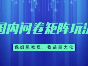 保姆级教程,国内问卷矩阵玩法,轻松赚收益