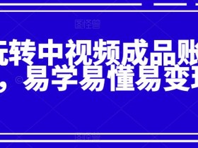 玩转中视频成品账号,易学易懂易变现