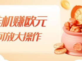 挂机赚欧元,单窗口5-10+,小白可操作,可放大【揭秘】