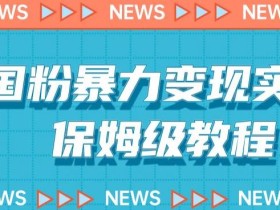 爱国粉暴力变现实操,保姆级教程