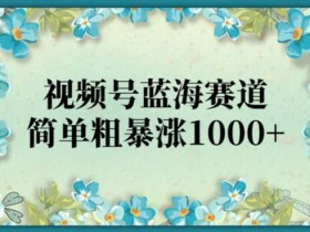 视频号蓝海赛道,简单粗暴涨1000+