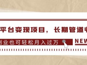 多多平台变现项目,长期管道收益,副业也可轻松月入过万