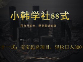 小韩学社88式第十一式:《宝宝起名》项目,轻松日入300+