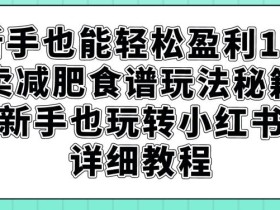 新手也能轻松盈利1w,卖减肥食谱玩法秘籍,新手也玩转小红书详细教程【揭秘】