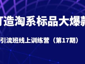 打造淘系标品大爆款引流班线上训练营(第17期)5天直播授课