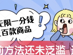 接码无限撸上百款商品,全网首发,目前未泛滥,速看【揭秘】