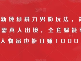9月最新纯绿暴力男粉玩法,简单粗暴,无需真人出镜,全套赋能靠卖私人物品也能日赚1000
