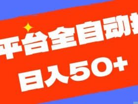 多平台全自动挂机,提现秒到账【揭秘】