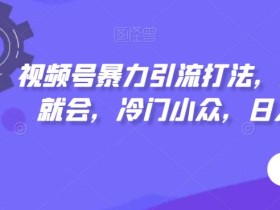 视频号暴力引流打法,小白一看就会,冷门小众,日入300+【揭秘】