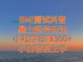 神图抖音小程序项目4.0版引流,日入300+暴力玩法小白轻松上手