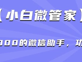 【小白微管家】价值2000的微信助手,功能强大