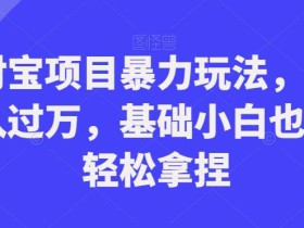 支付宝项目暴力玩法,轻松月入过万,基础小白也可以轻松拿捏【揭秘】