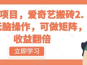 冷门项目,爱奇艺搬砖2.0,无脑操作,可做矩阵,收益翻倍【揭秘】